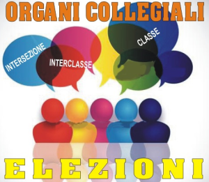 elezioni